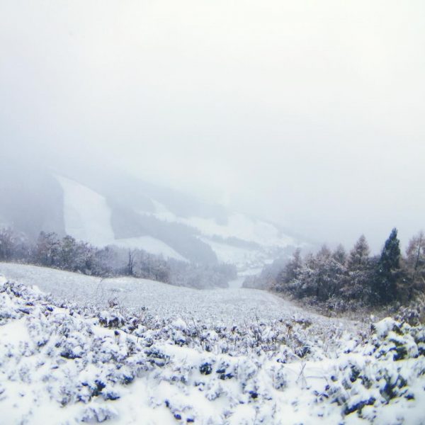 Snow Flakes First Snow Nozawa