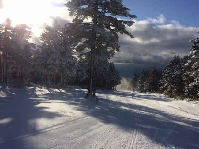 Nagano Ski Resort Open 