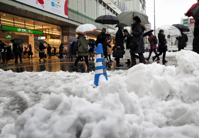 Tokyo Snow November Nozawa 