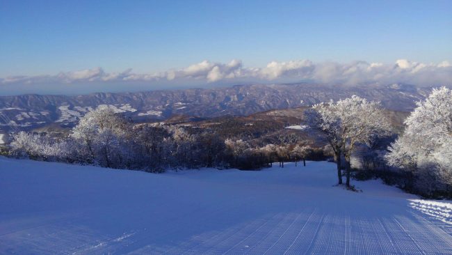 Nozawa Onsen Resort Open