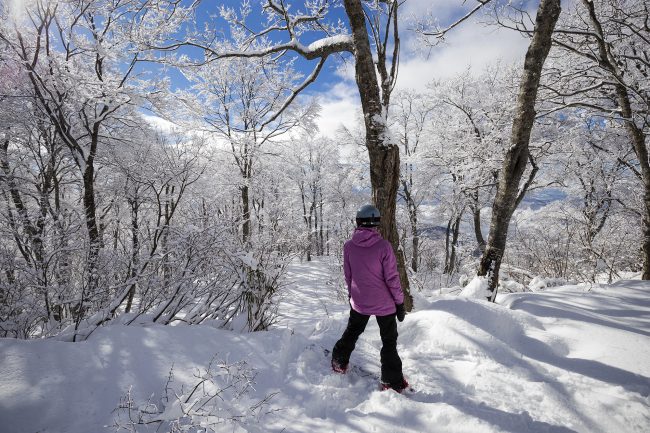 Greybird Nozawa Onsen