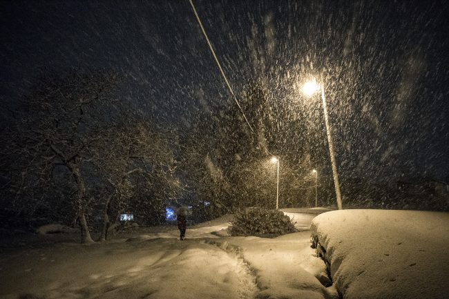 Nozawa Snow Report 30 December 2016