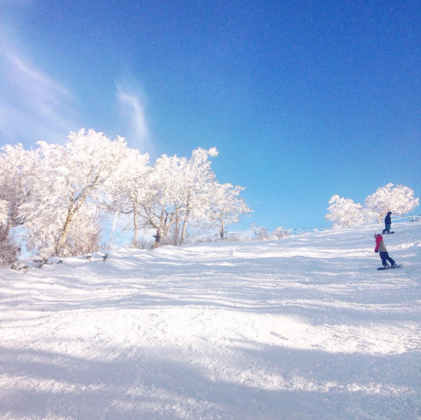 Nozawa Onsen Snowboarding