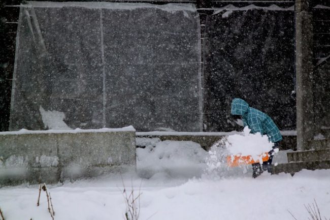 All happening Nozawa Onsen
