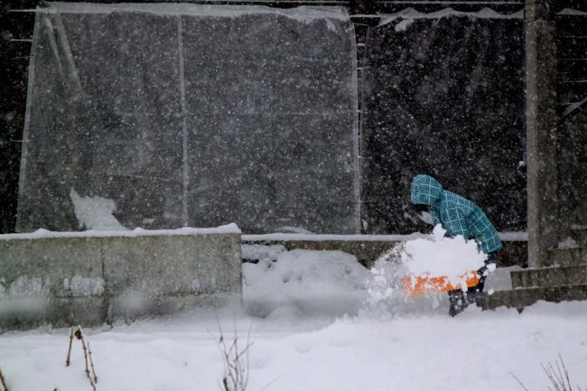 All happening Nozawa Onsen 