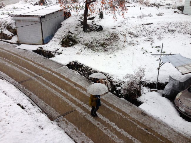 Snow Fall Overnight Nozawa