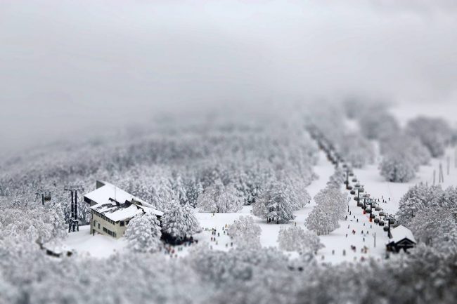 Jetstar Sale Japan Nozawa