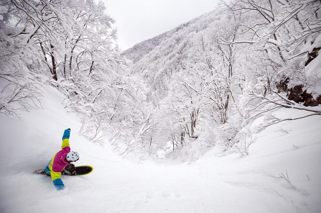 Nozawa Snow Report 12 January 2017