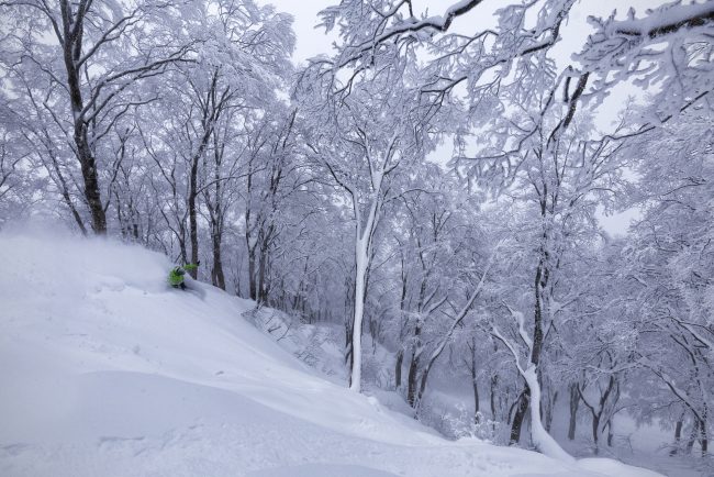 Nozawa Snow Report 13 January 2017