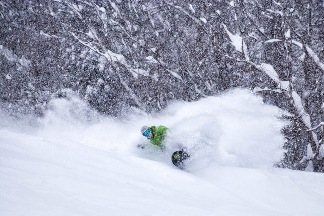 Nozawa Snow Report 17 January 2017