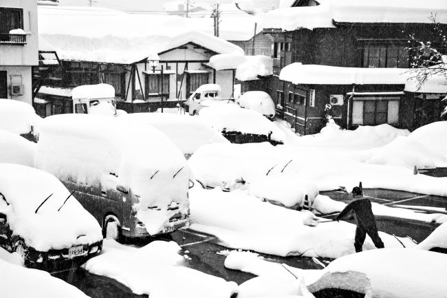 Nozawa Snow Report 23 January 2017