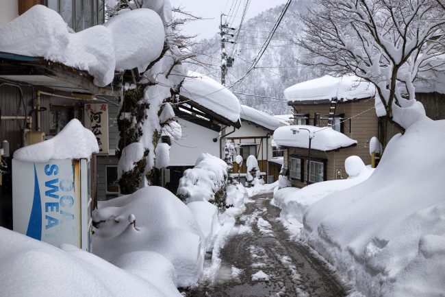 Nozawa Snow Report 21 January 2017