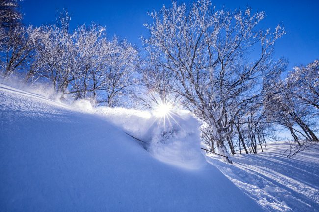 Nozawa Snow Report 29 January 2017