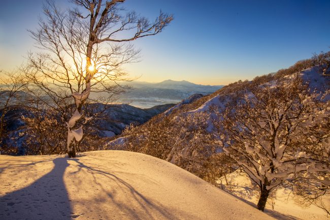 Nozawa Snow Report 27 January 2017