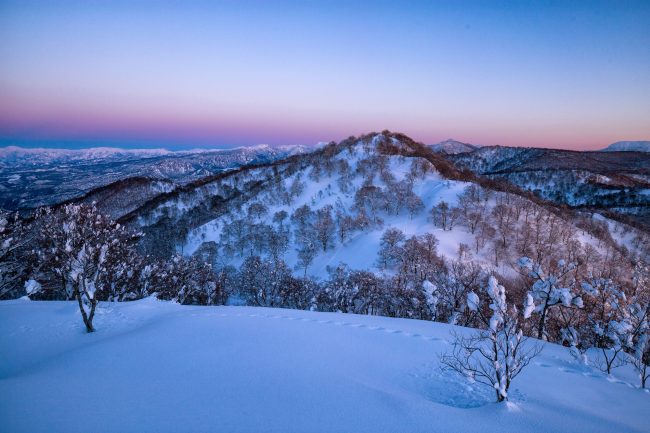 Nozawa Snow Report 1 February 2017