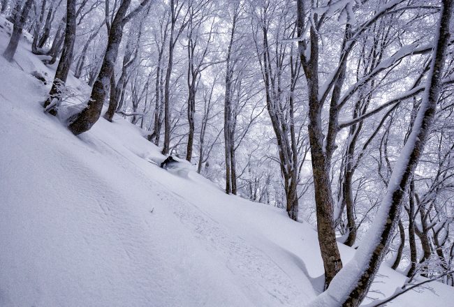 Nozawa Snow Report 7 January 2017