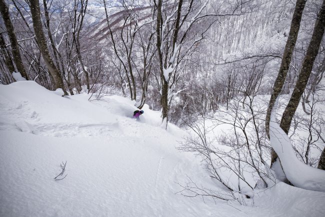 Nozawa Snow Report 9 January 2017