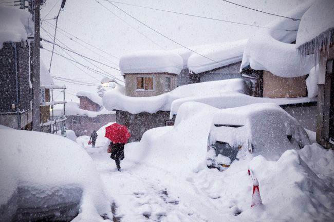 Nozawa Snow Report 21 February 2017