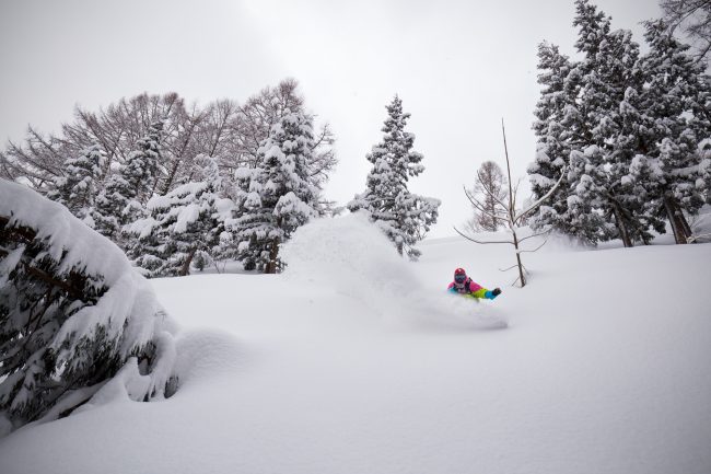 Nozawa Snow Report 22 February 2017