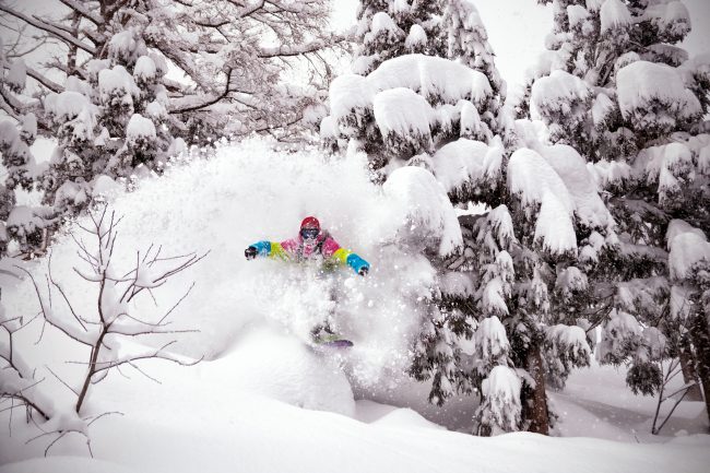 Nozawa Snow Report 2 February 2017