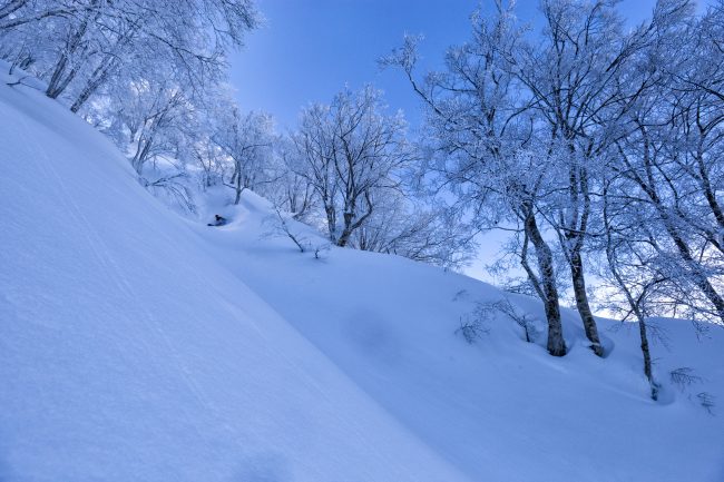 Nozawa Snow Report 3 February 2017