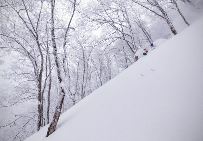 Nozawa Snow Report 4 February 2017