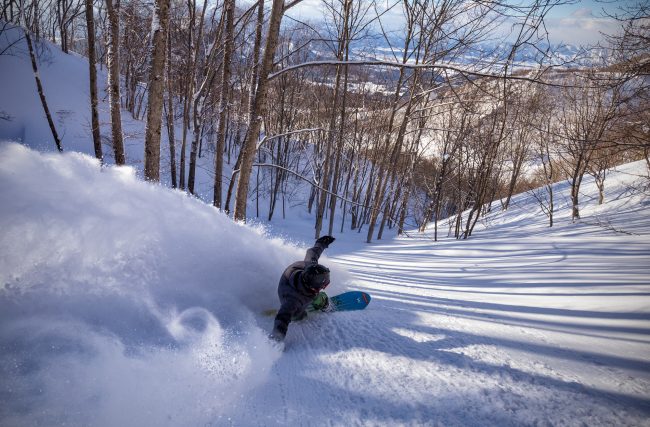 Nozawa Snow Report 5 February 2017