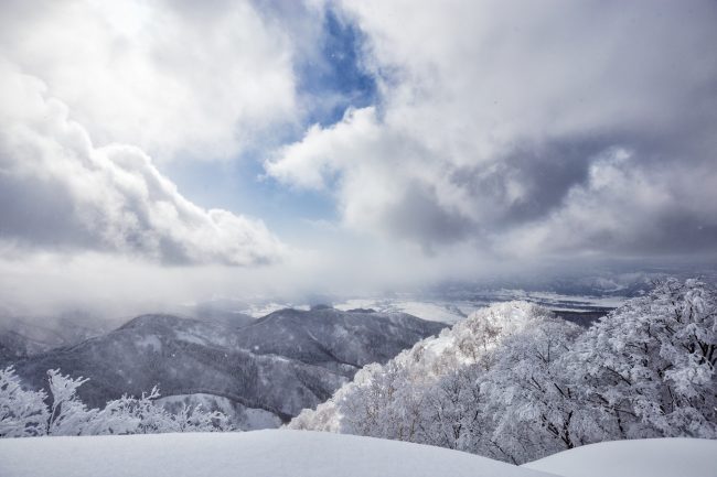 Nozawa Snow Report 20 February 2017