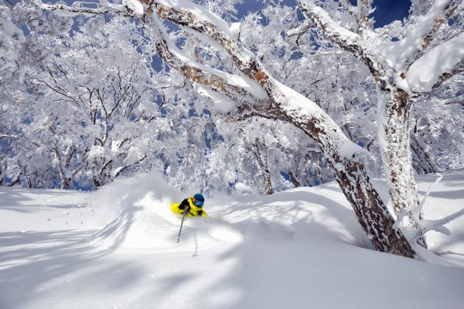 The Power of Powder Nozawa Onsen Japan 