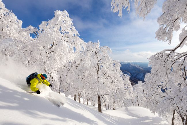 Nozawa Snow Report 17 February 2017