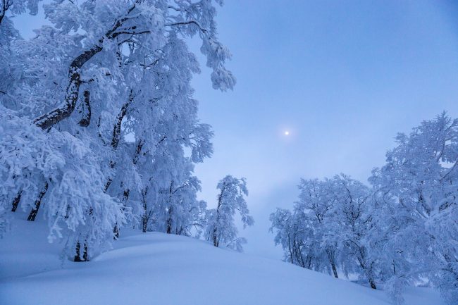 Nozawa Snow Report 10 February 2017