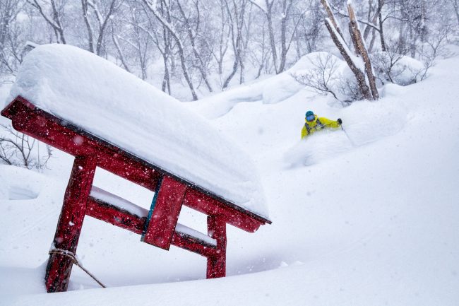 Nozawa Snow Report 19 February 2017