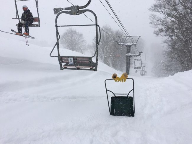 Base Nozawa Onsen