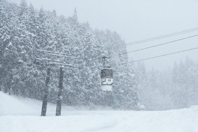 Snow Report Nozawa Onsen 