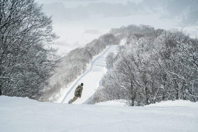 Nozawa Snow Report 14 February 