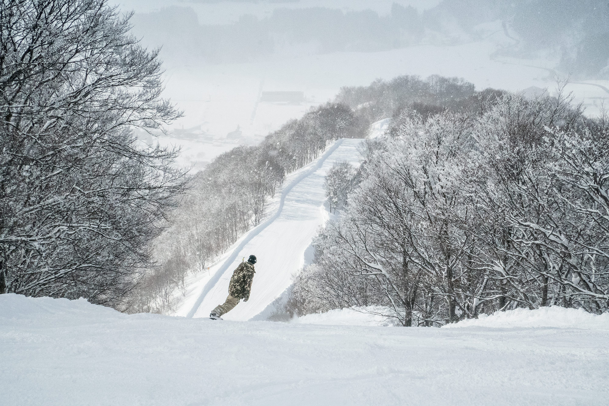 Nozawa Snow Report 14 February