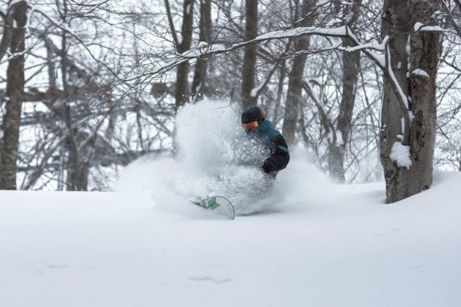 March Powder Days