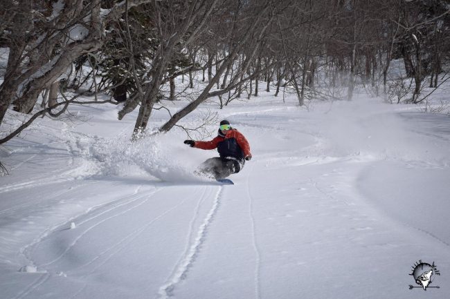 Still lots of freshies to be had in March...