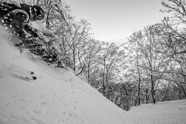 Nozawa Snow Report 4 March 2017