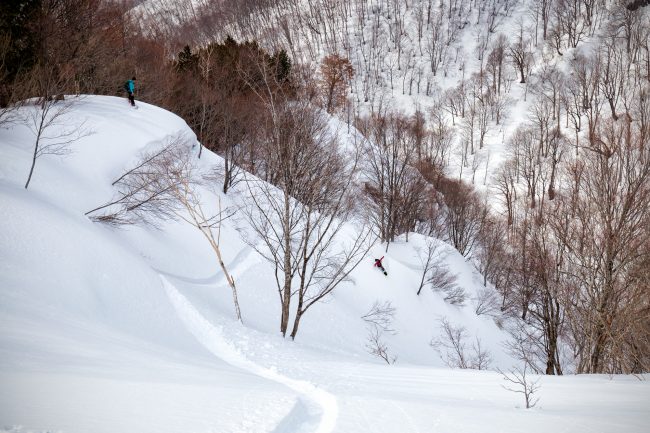 Nozawa Snow Report 10 March 2017