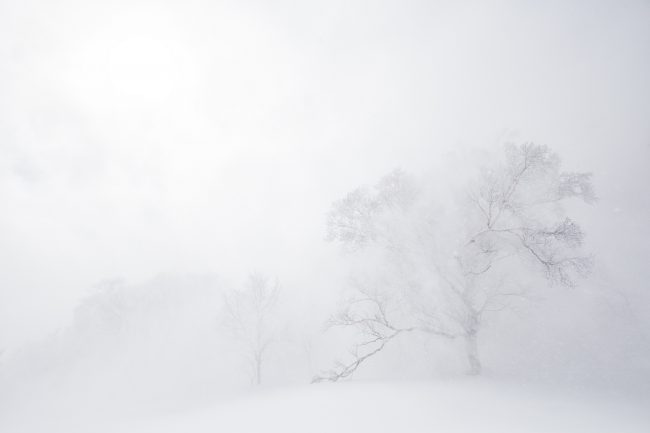 Nozawa Snow Report 8 March 2017