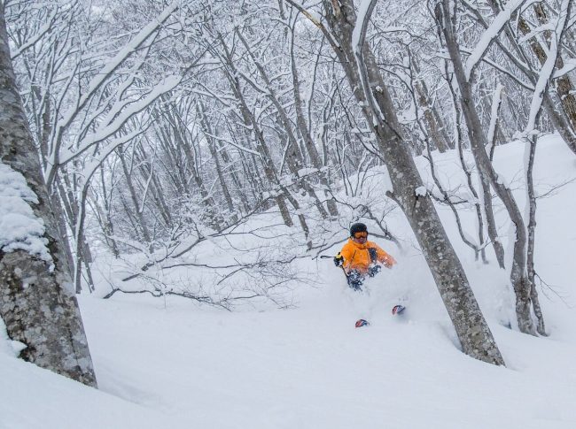 March Magic Nozawa Onsen 