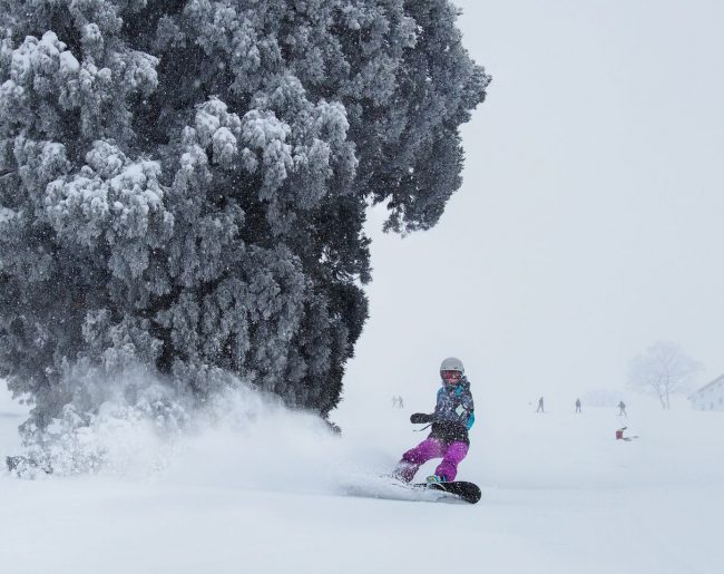 March Magic Nozawa Onsen