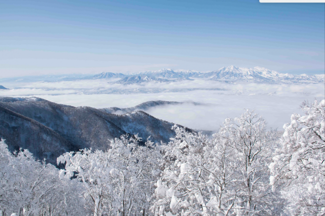 Waking up to a new 30cm of fresh powder in Spring