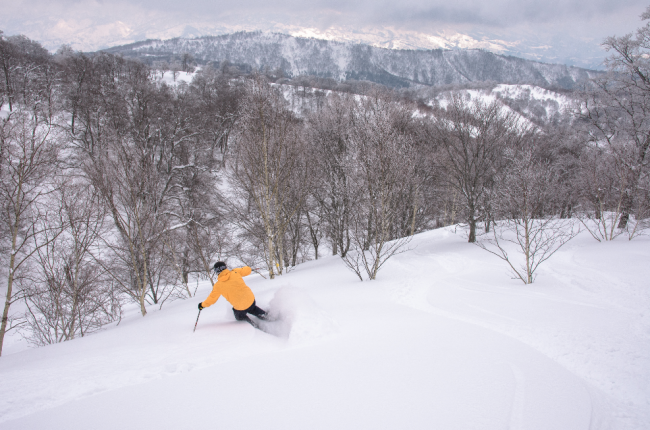 Isaac enjoying one of the last big dumps for Spring