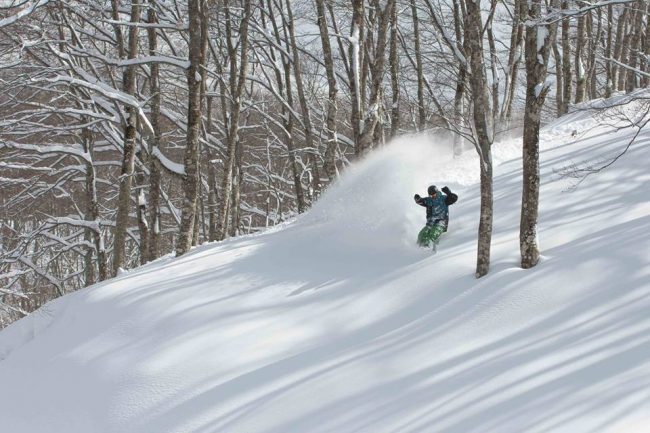 Jetstar Sale Japan Nozawa