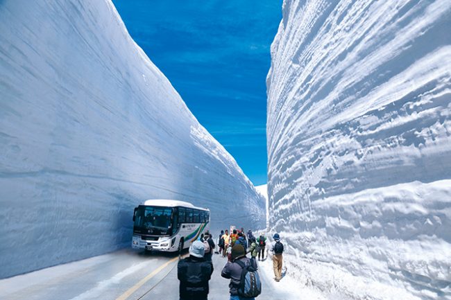 Tateyama Alpine Region Ski Japan