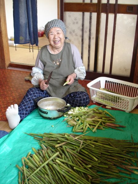 Summer Festival Nozawa Onsen Japan 