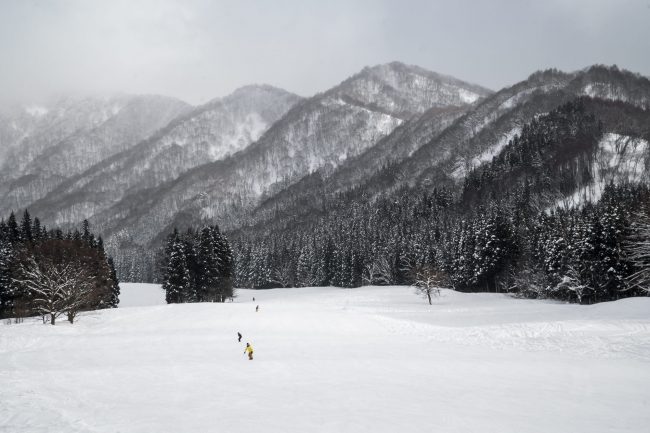 Accommodation Nozawa Onsen Peak Times