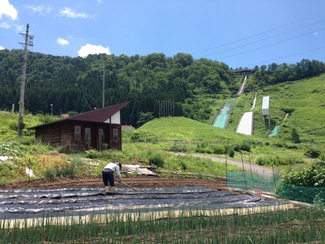 Nozawa Onsen Food 